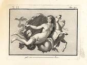 Similar image