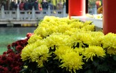 Similar image