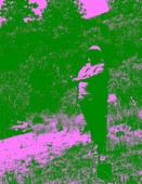 Similar image