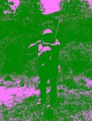 Similar image