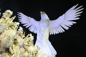 Similar image