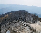 Similar image