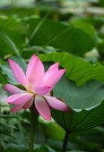 Similar image