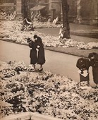 Similar image