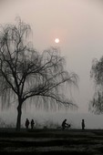 Similar image