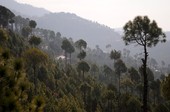 Similar image