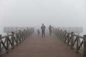 Similar image