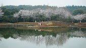 Similar image