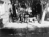 Similar image