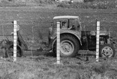 Similar image