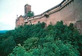 Similar image