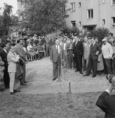 Similar image