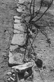 Similar image