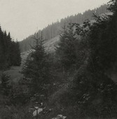 Similar image
