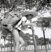 Similar image