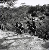 Similar image