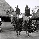 Similar image