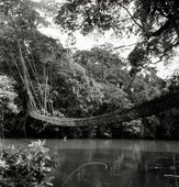 Similar image