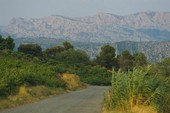 Similar image