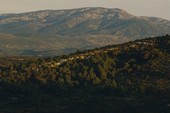 Similar image
