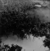 Similar image