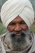 Similar image
