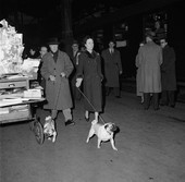 Similar image
