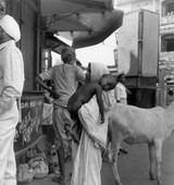 Similar image