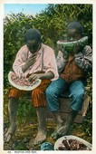 Similar image