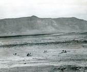 Similar image