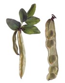 Similar image