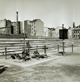 Similar image