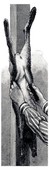 Similar image