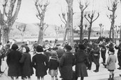 Similar image