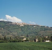 Similar image