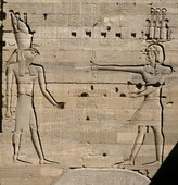 Similar image