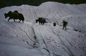 Similar image