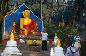 Similar image