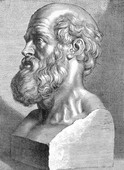 Similar image