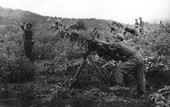 Similar image