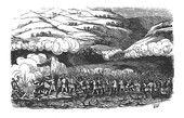Similar image