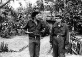 Similar image