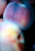 Similar image