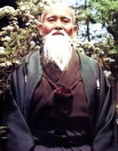 Similar image