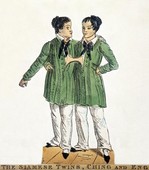 Similar image