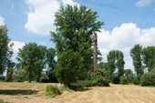 Similar image