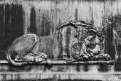 Similar image