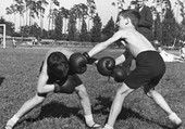 Similar image