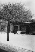 Similar image