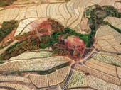 Similar image